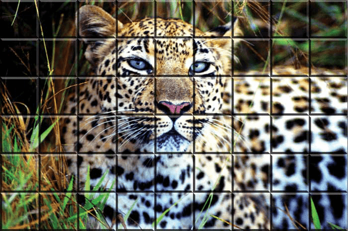 A donor recognition design mural made of 4x4 tiles that creates an image of a leopard laying down in grass