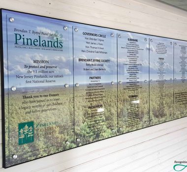 Pinelands Display by RecognitionArt